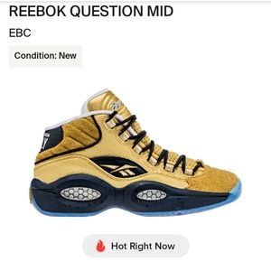 Reebok Question Mid (EBC Rucker Park) (Standing Room Only) Size 10.5M
